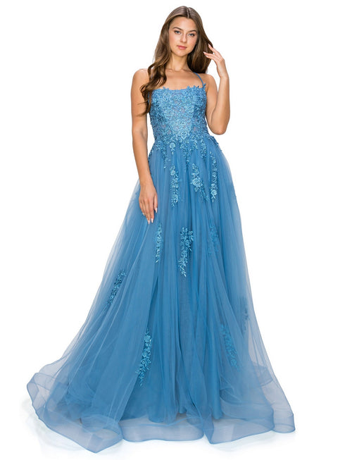 Bliss Lace Applique Open Back Spaghetti Tulle Dress for Women, Sizes XS-3XL - SophiasStyle.com